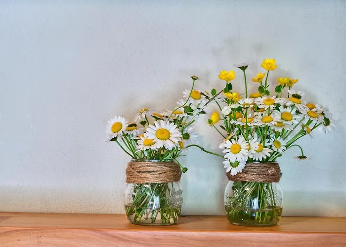 Il Castello Di 4* Tassara