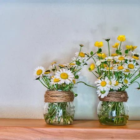 Il Castello Di 4* Tassara